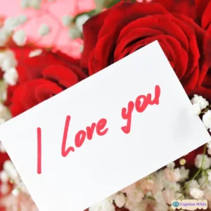 127+ Irresistible I Love You Captions For Instagram and Heartfelt Quotes