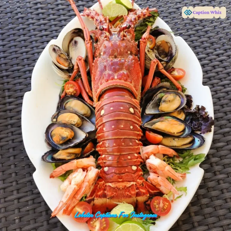 Lobster Captions For Instagram