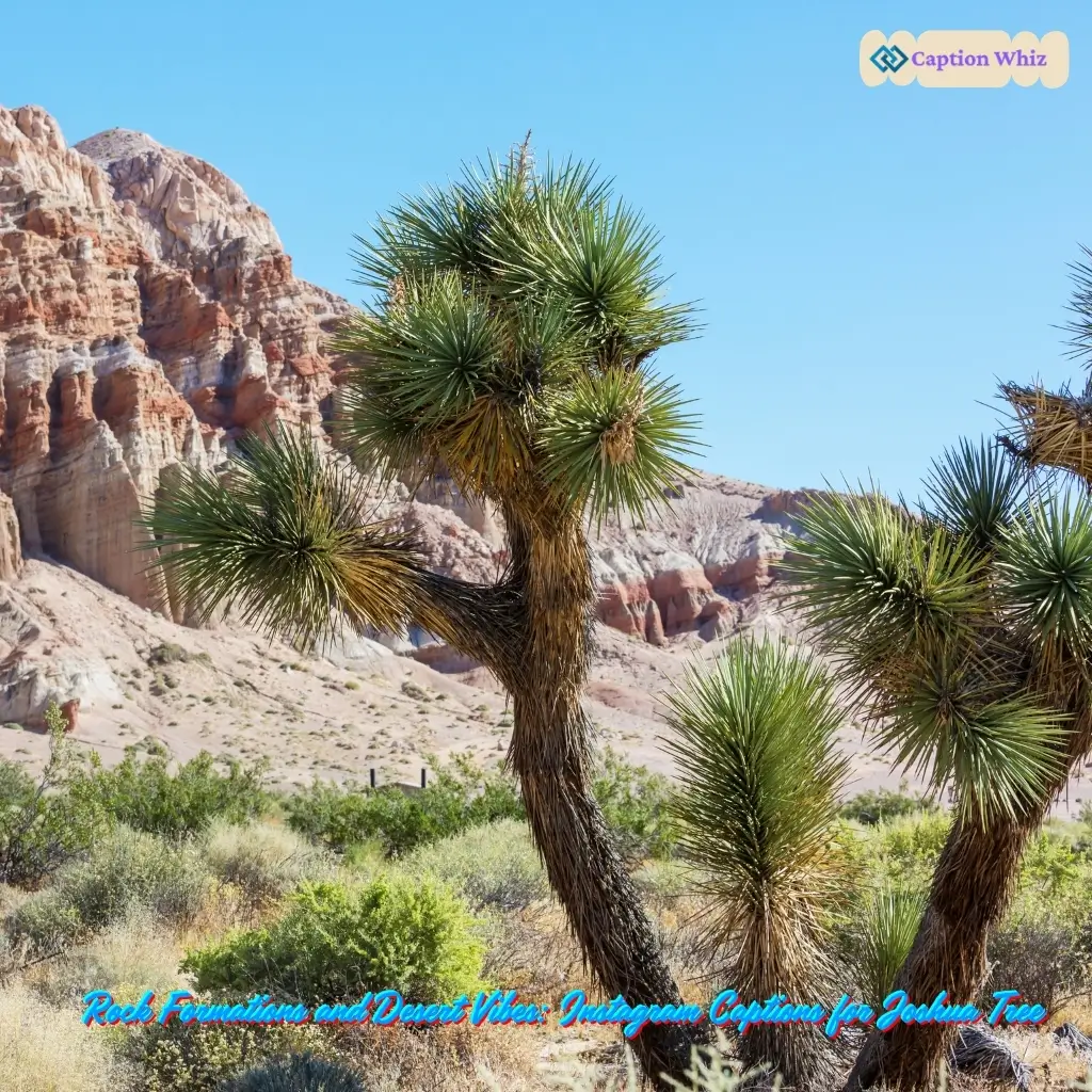 147+ Unforgettable Joshua Tree Captions For Instagram and Quotes You Need Now