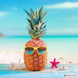 125+ Irresistible Pineapple Captions For Instagram and Quotes That Brighten Your Feed