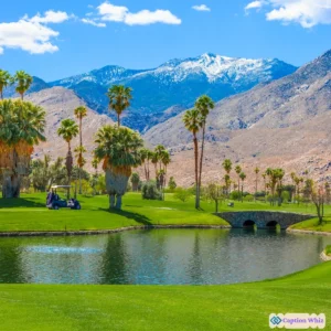 125+ Unforgettable Palm Springs Captions For Instagram and Quotes to Inspire Your Feed