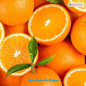 137+ Unforgettable Orange Captions For Instagram and Quotes That Shine Bright