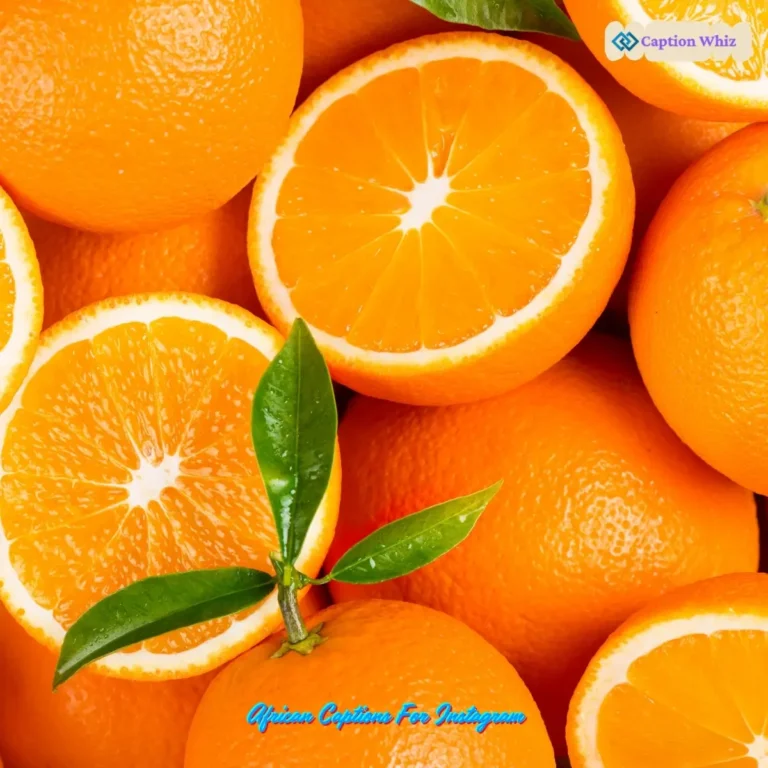 137+ Unforgettable Orange Captions For Instagram and Quotes That Shine Bright