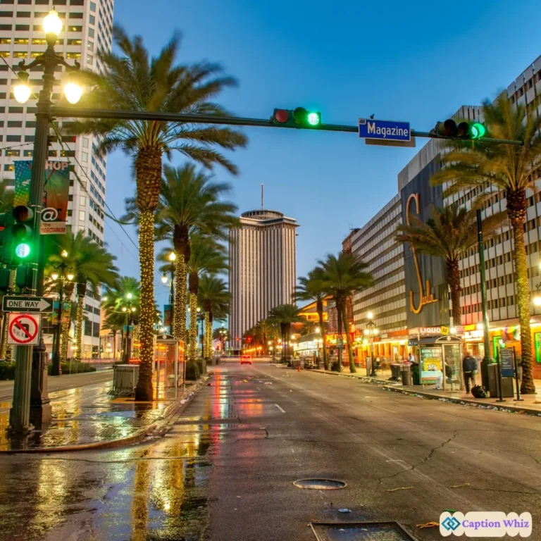 149+ Unforgettable Nola Captions For Instagram and Quotes That Spark Curiosity