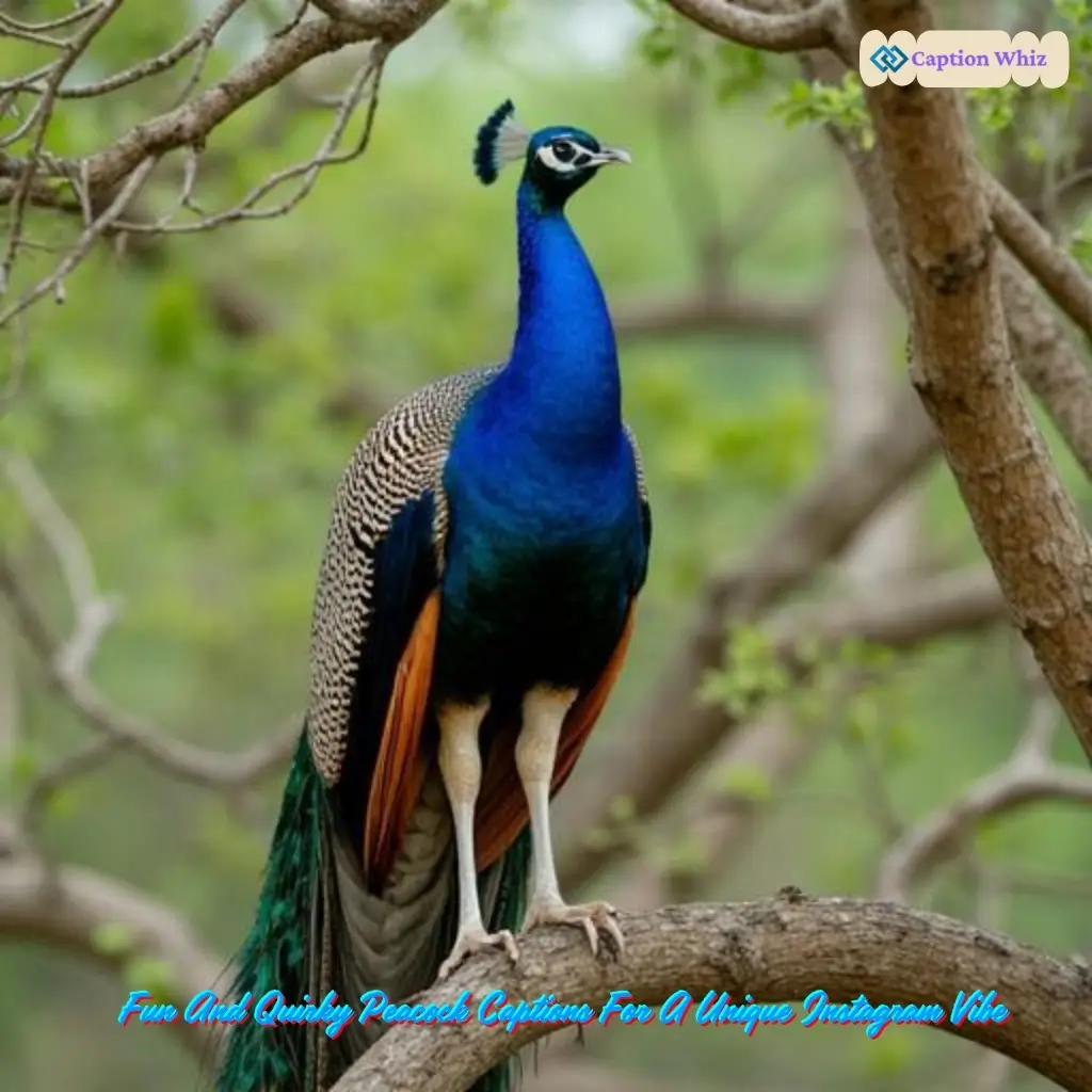 123+ Unforgettable Peacock Captions For Instagram and Quotes That Spark Joy