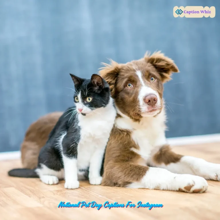 National Pet Day Captions For Instagram