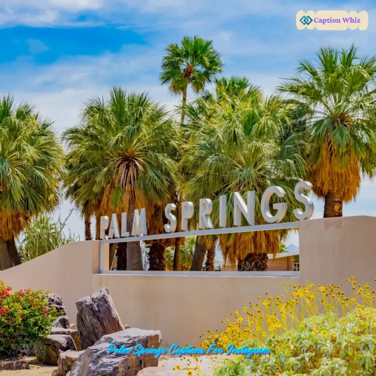 Palm Springs Captions For Instagram