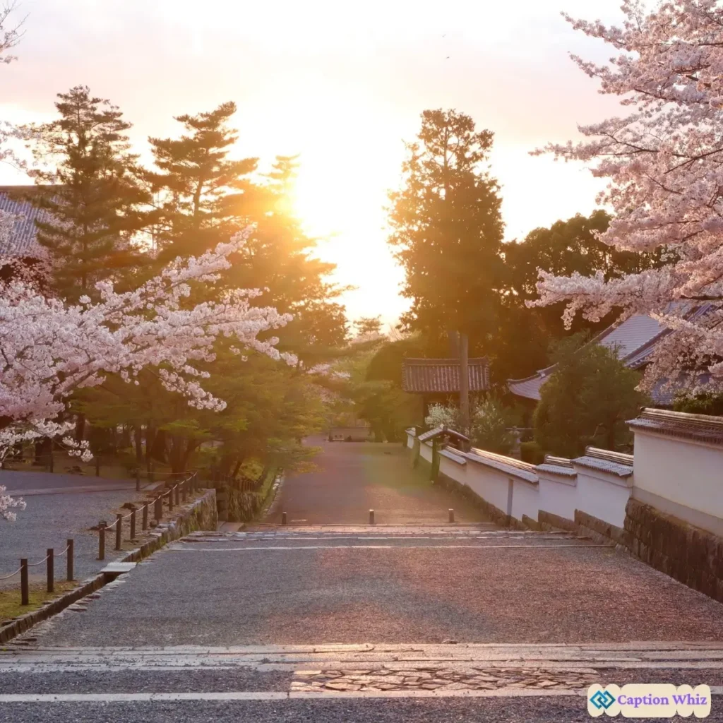 127+ Must-See Scenery Captions For Instagram That Inspire Adventure and Wonder Quotes