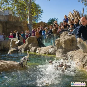 153+ Unforgettable Zoo Captions For Instagram and Quotes to Captivate Your Audience