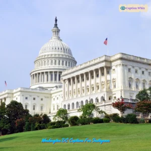 135+ Essential Washington DC Captions For Instagram and Quotes to Inspire Adventure