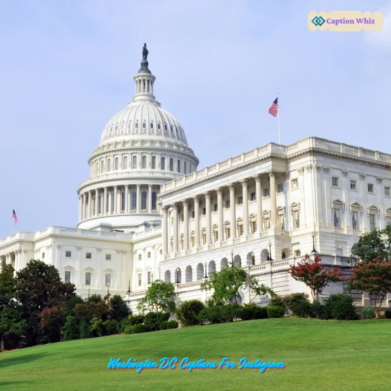 Washington DC Captions For Instagram