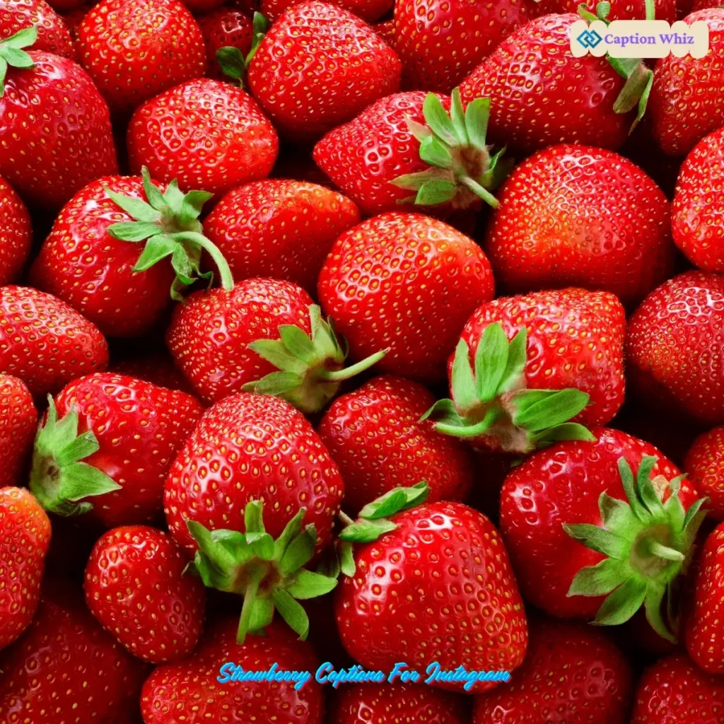Strawberry Captions For Instagram