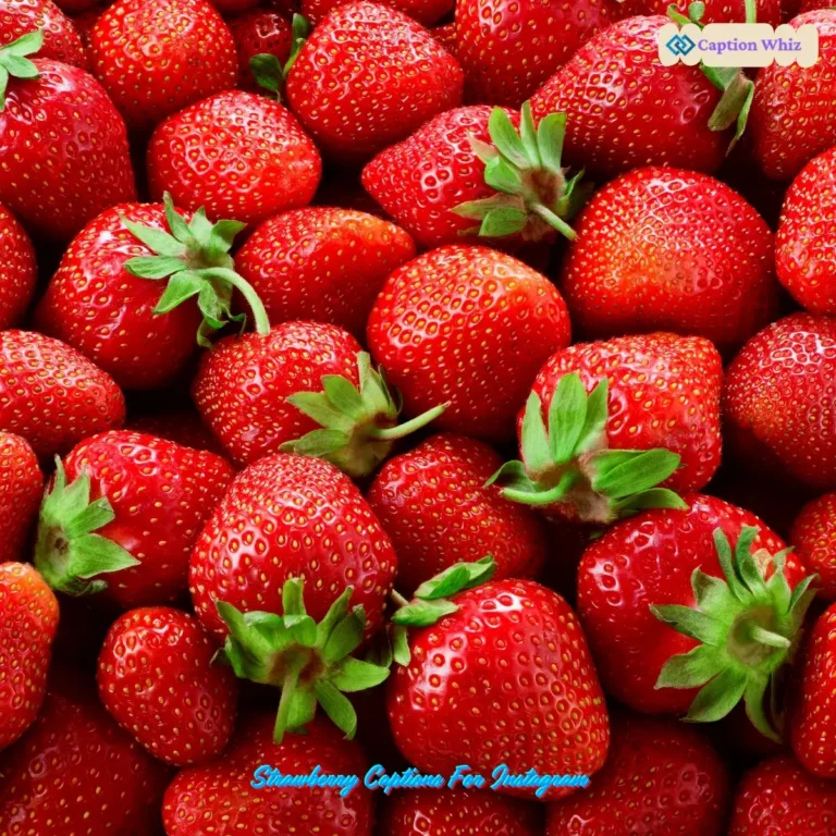 Strawberry Captions For Instagram